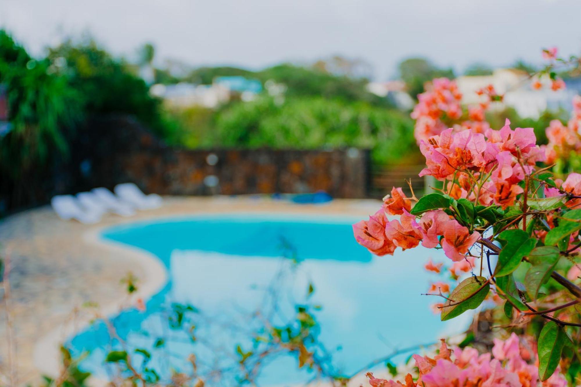 Boutique Villa On The Rocks With Stunning Sea Views, Infinity Pool & Private Sea Trou d'Eau Douce Exterior photo